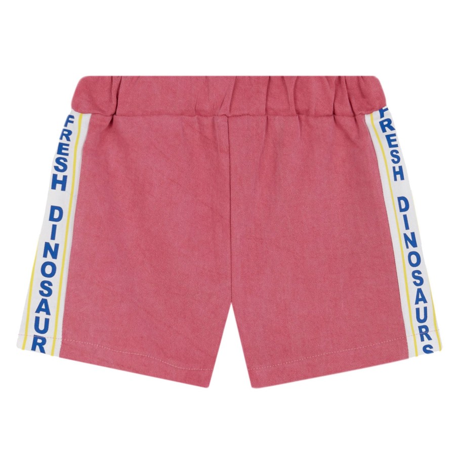 Shorts Fresh Dinosaurs | Fd Terry - Shorts