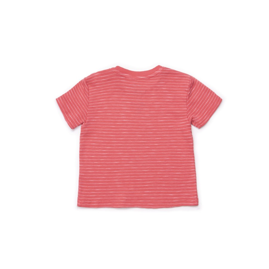 T-Shirts Barn of MonBests | Coral Otto - T-Shirt