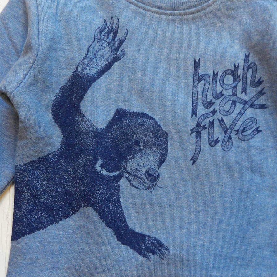 Sweater Lion of Leisure | Baby Bear - Sweater