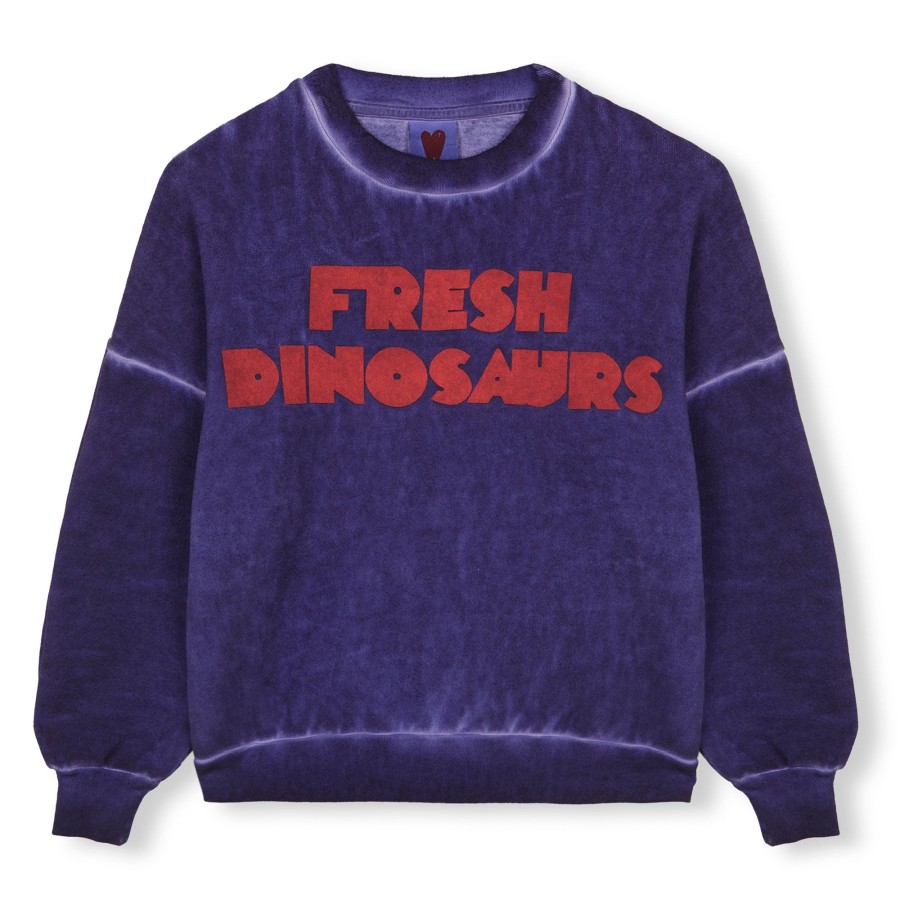 Sweater Fresh Dinosaurs | Fd Maltinto Blue - Sweater