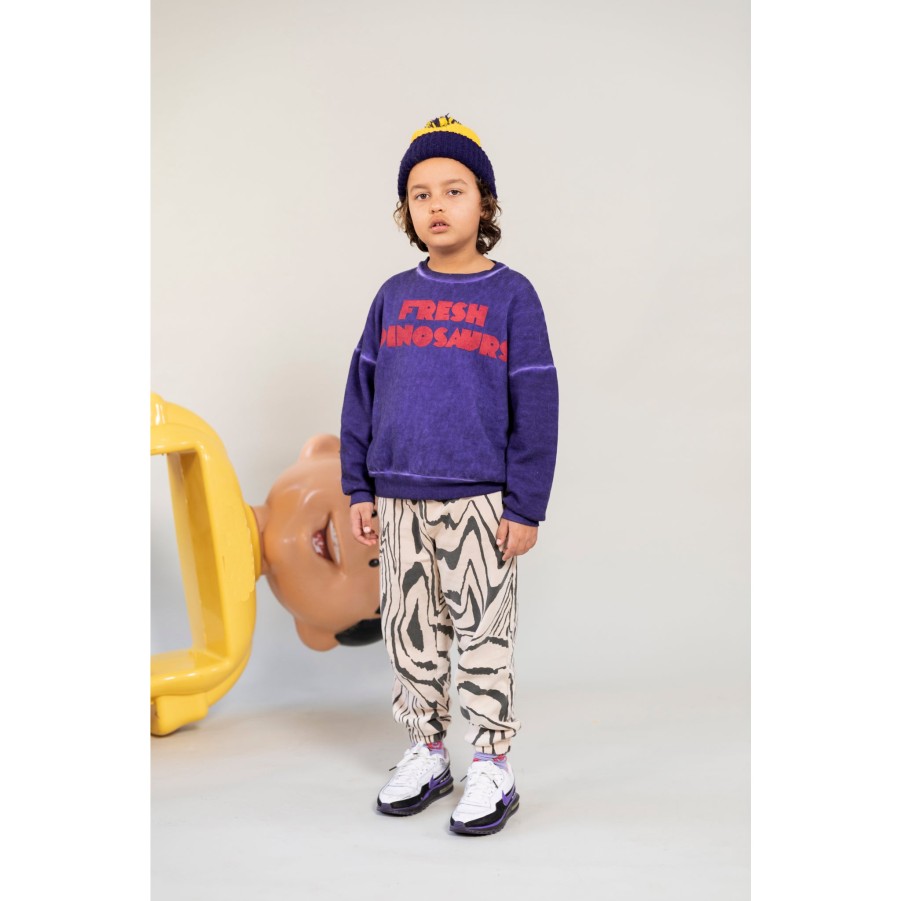 Sweater Fresh Dinosaurs | Fd Maltinto Blue - Sweater