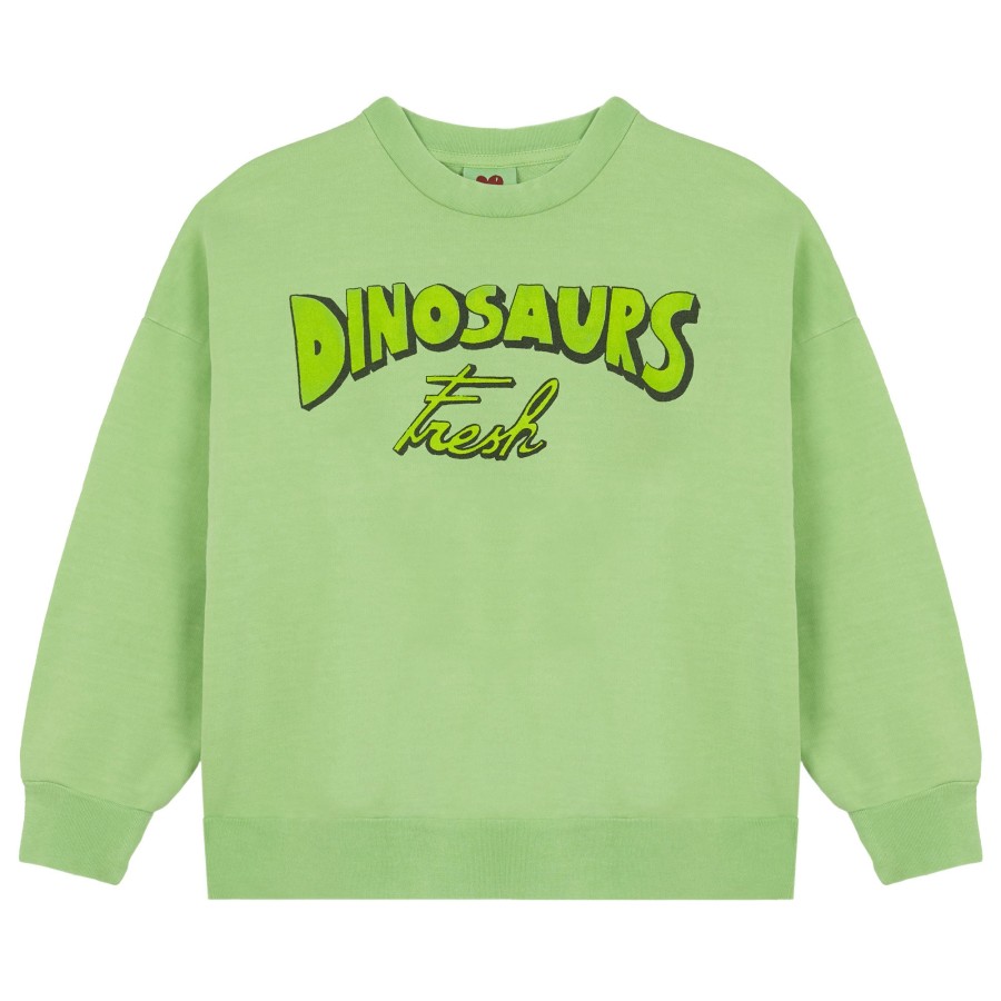 Sweater Fresh Dinosaurs | Fresh Dinosaurs - Sweater